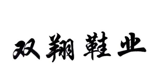 温州双翔鞋业与双翔贸易 从制造根基到全球链接的双轮驱动
